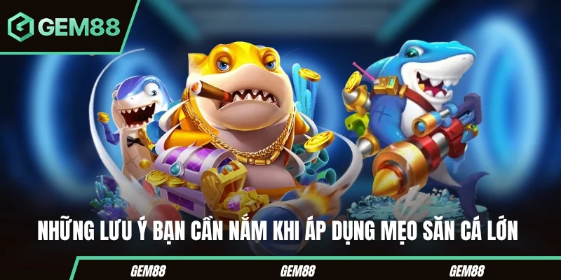 Những lưu ý bạn cần nắm khi áp dụng mẹo săn cá lớn